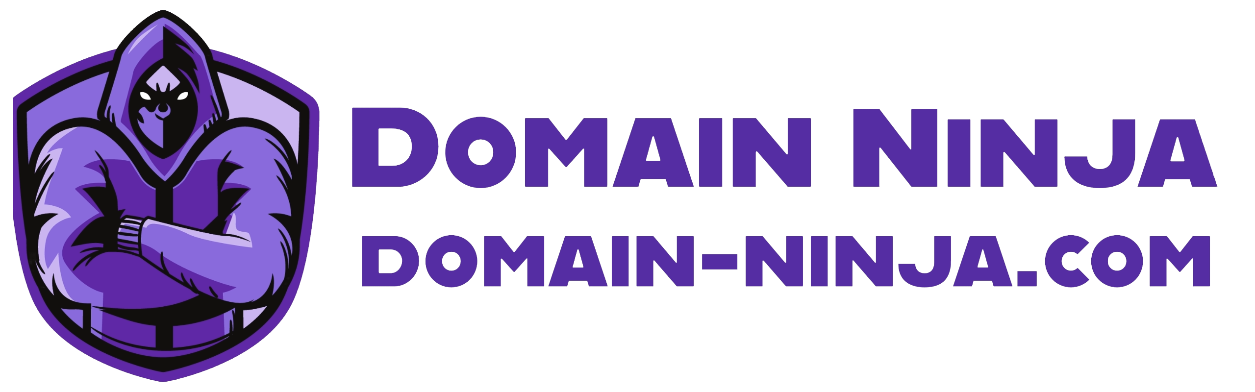 Domain Ninja Logo